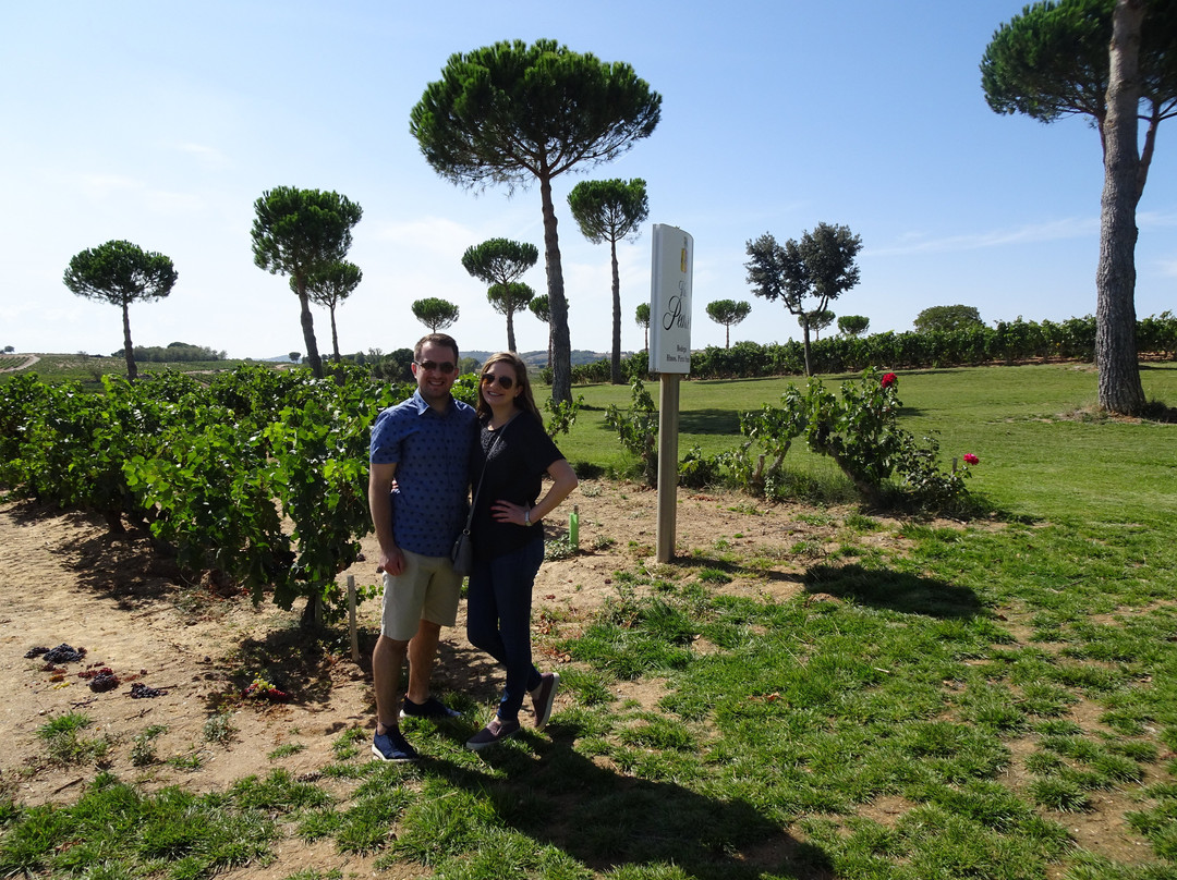 Bodegas Hermanos Perez Pascuas - Viña Pedrosa景点图片