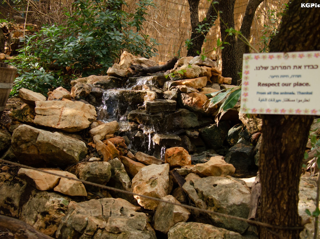 Yodfat Monkey Forest-Yodfat必去景点