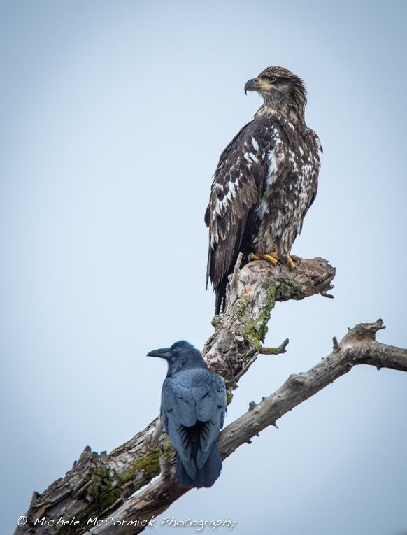 Sacramento National Wildlife Refuge-Willows必去景点