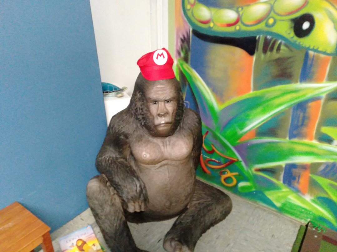 Albany Wacky Golf-奥尔巴尼必去景点