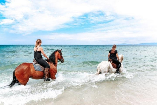 Yin Yoga Yang Kite Sports Center-Altura必去景点