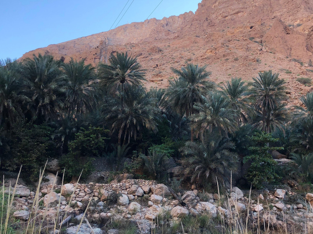 Wadi Tiwi景点图片