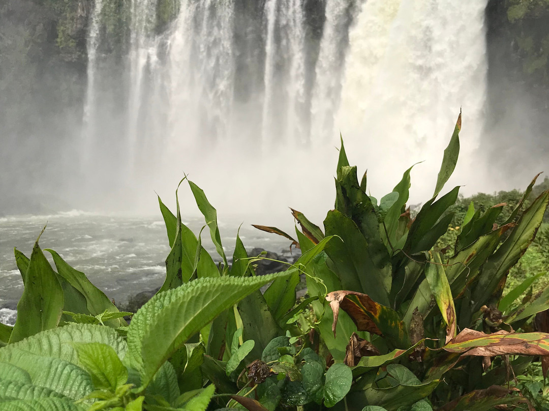 Salto de Eyipantla景点图片