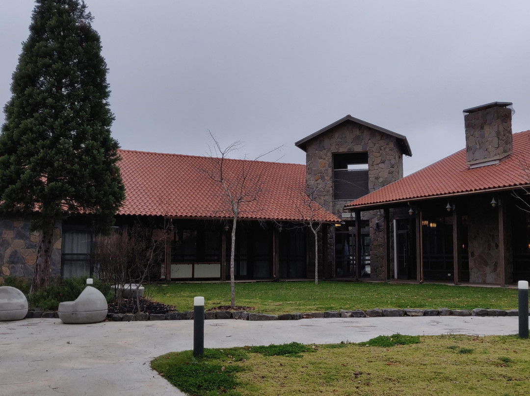 Merom Golan Resort主图