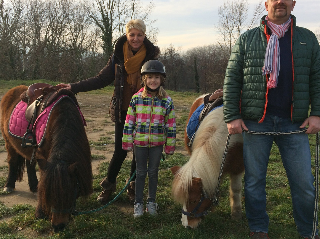La ferme equestre des peches景点图片