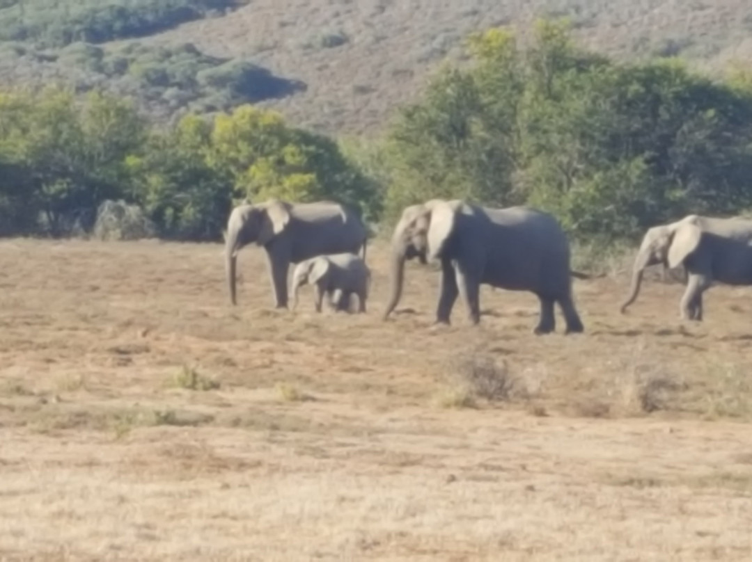 Silverleaf Travel and Tours-Parow必去景点