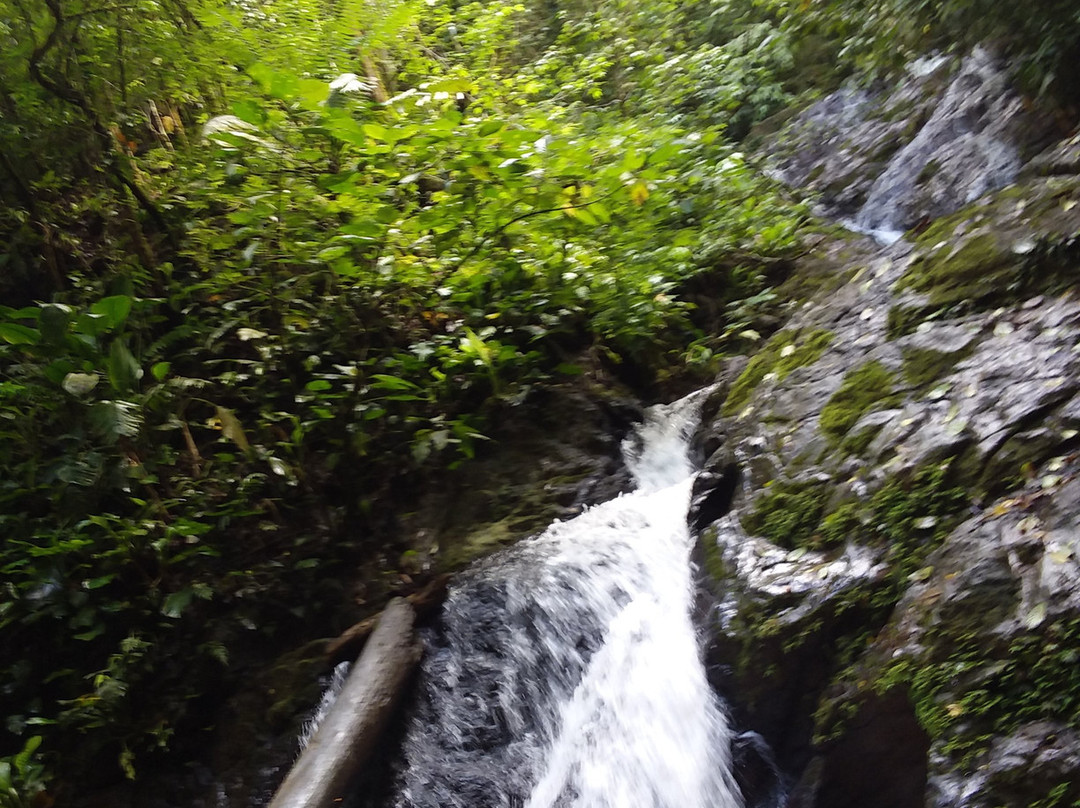 Finca La Puesta Del Sol主图