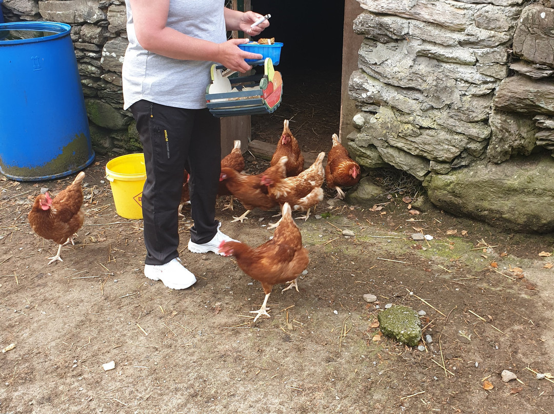 Dromagowlane House主图