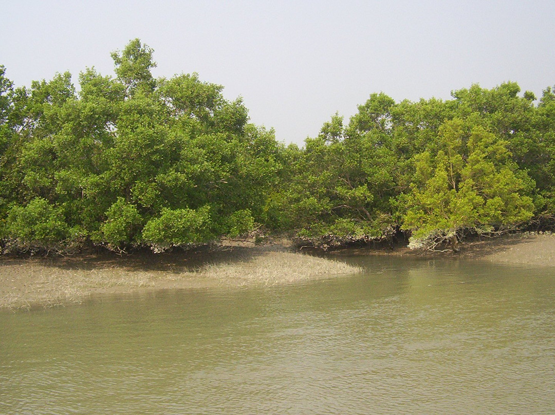 Sundarban Wild Safari景点图片