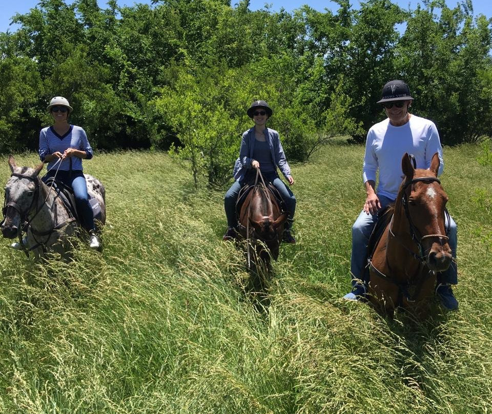 Caballos a la Par-布宜诺斯艾利斯必去景点