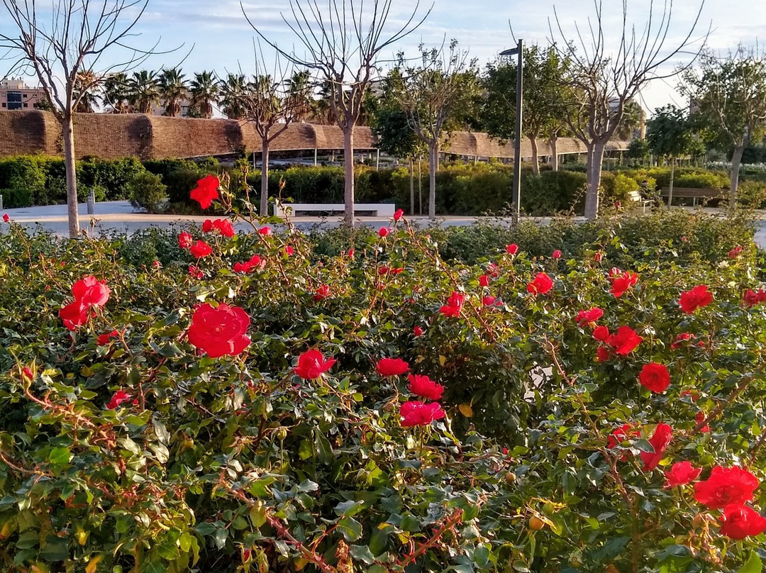 Parque Central-巴伦西亚必去景点