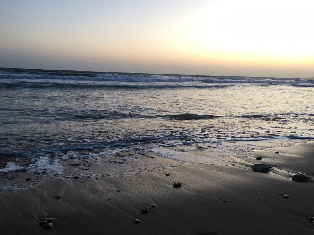 Okunivka Beach-Okunivka必去景点