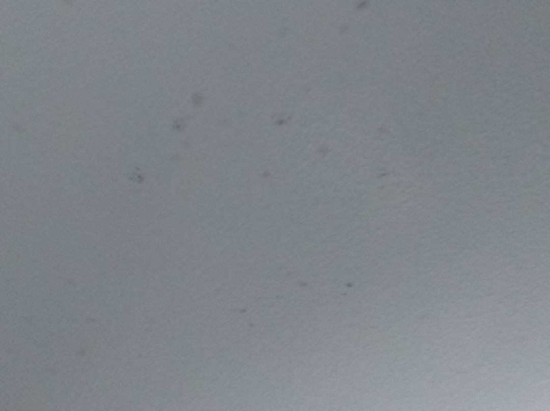 Baymont by Wyndham Punta Gorda/Port Charlotte主图