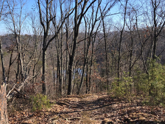 Jefferson Memorial Forest-Fairdale必去景点