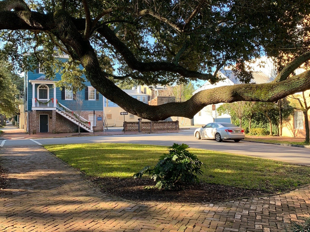 Oglethorpe Square景点图片