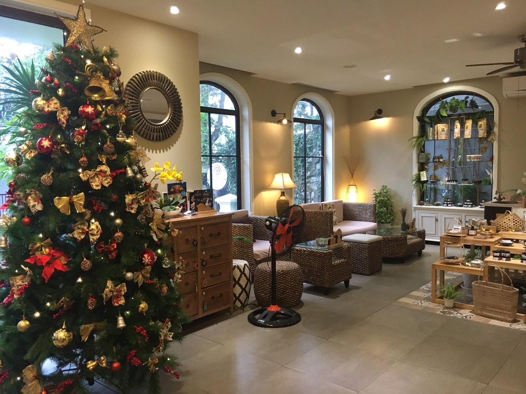 玫瑰草精油水疗馆-会安必去景点