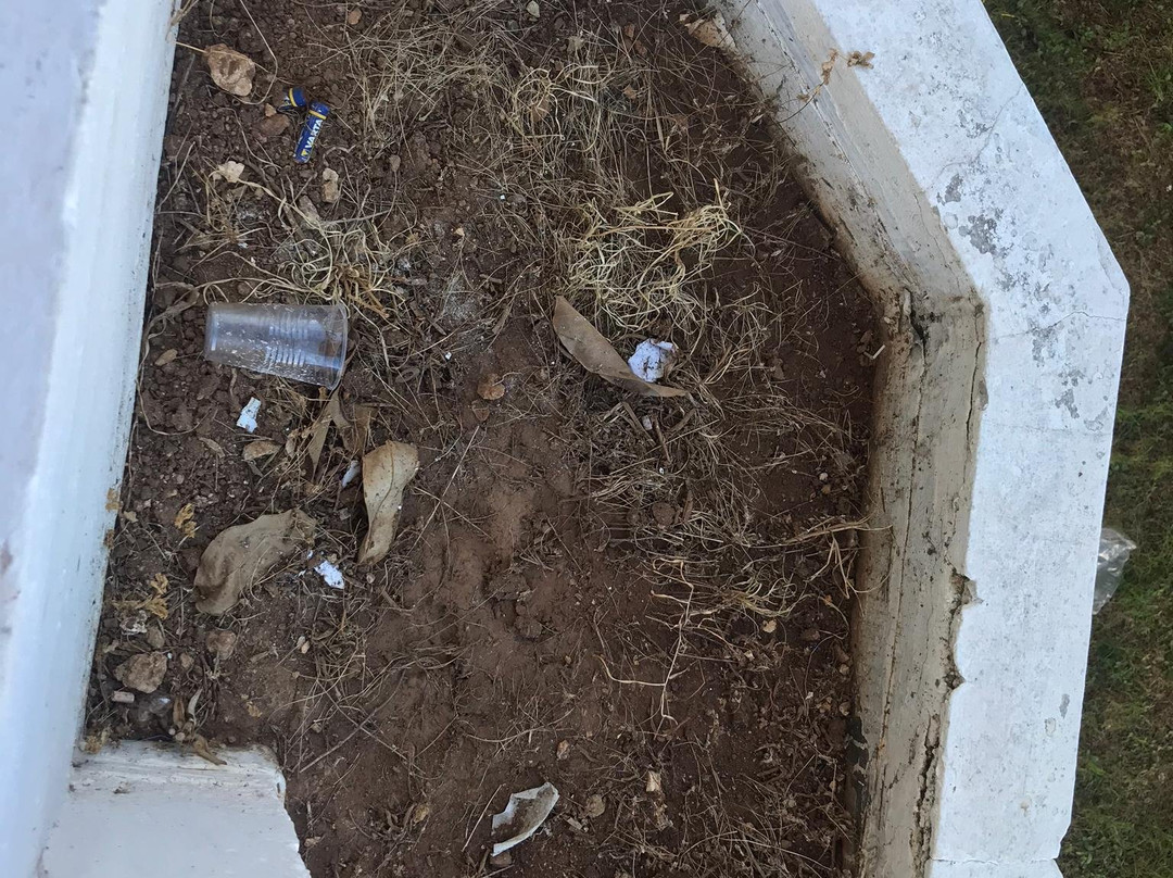 Hotel Camino del Mar主图