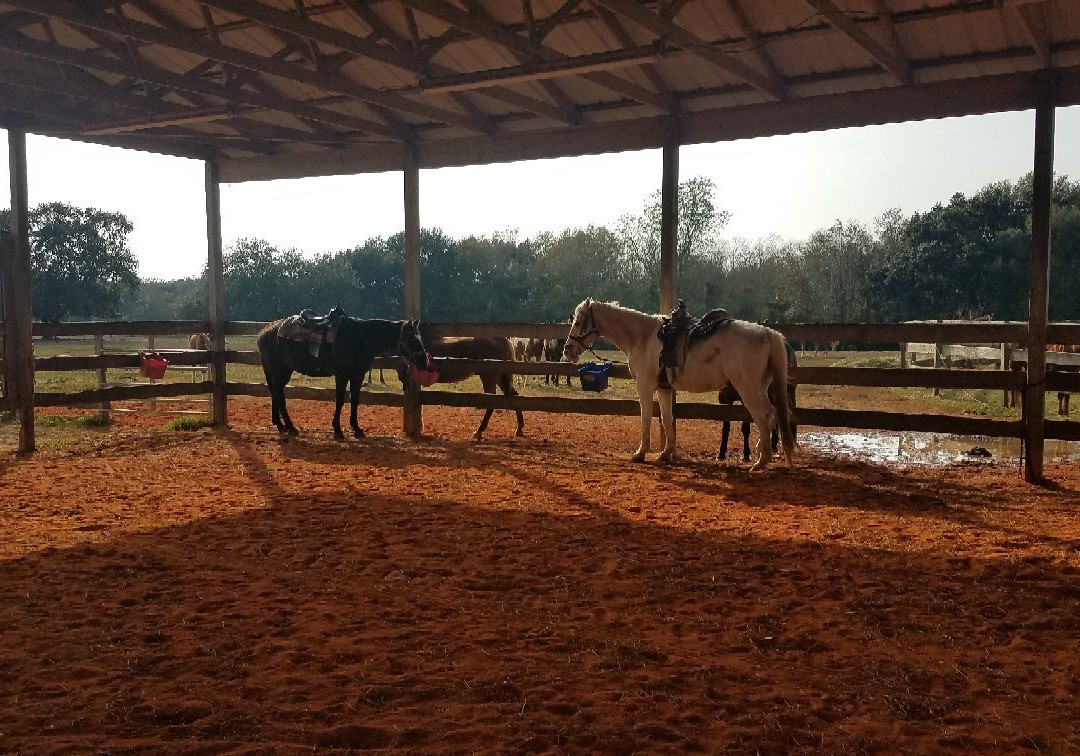 Oak Hollow Farm-费尔霍普必去景点
