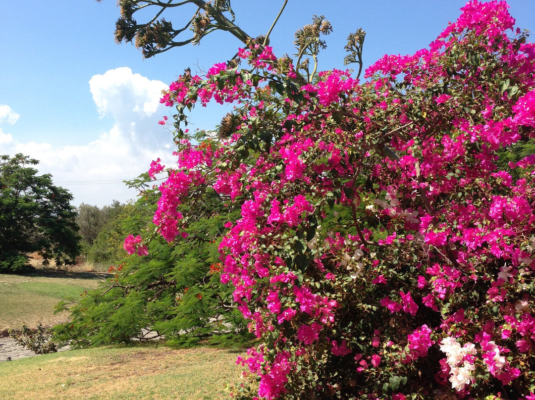 Kursi National Park-提比利亚必去景点