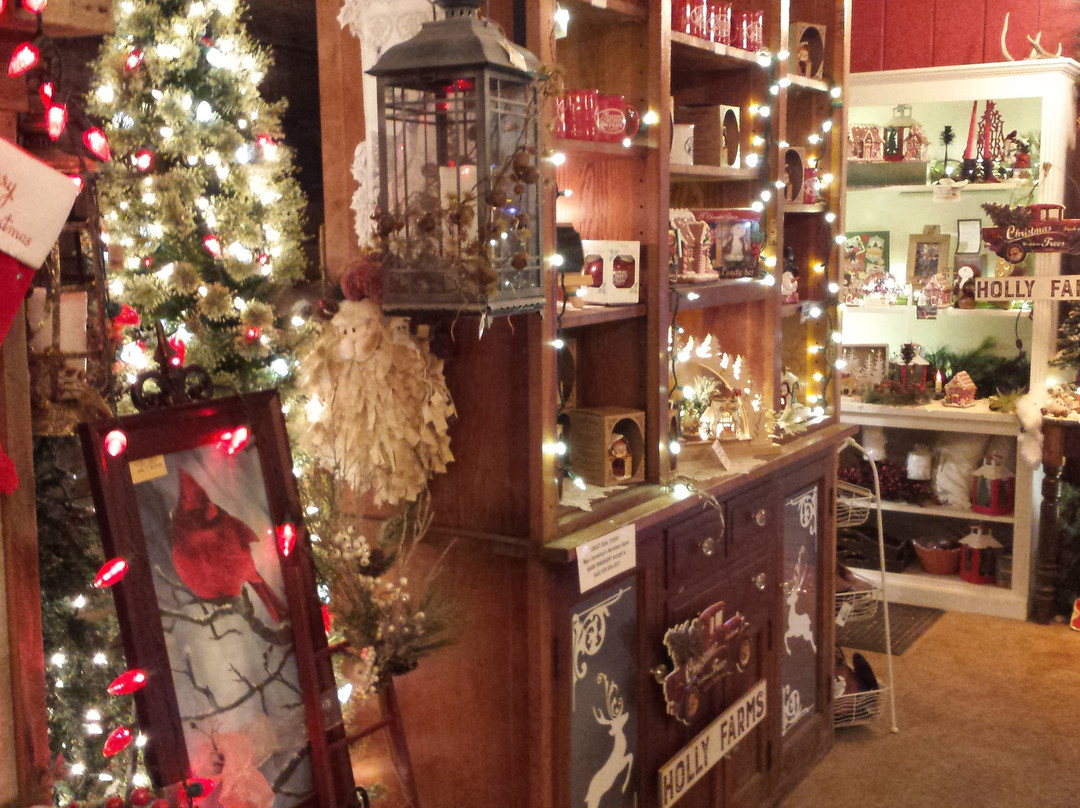 Snowman's Reindeer Farm-Canton必去景点