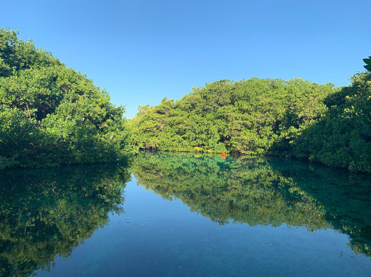 Scuba Tulum-图伦必去景点