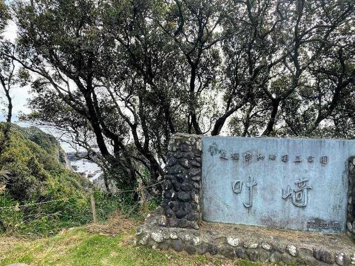 Kanaezaki Cape景点图片