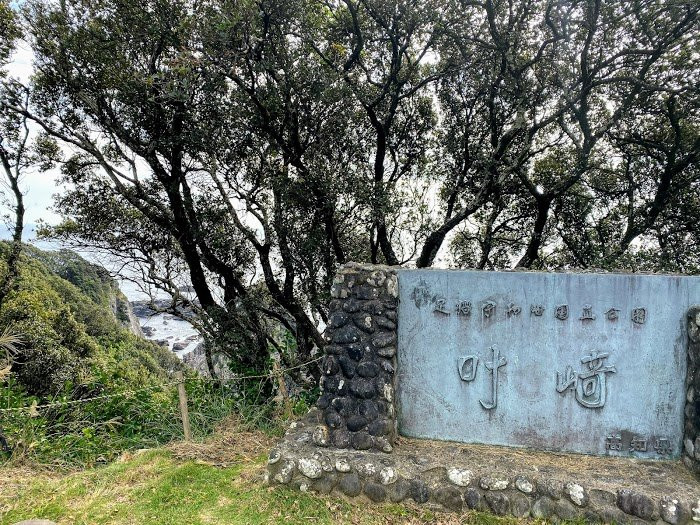 Kanaezaki Cape-土佐清水市必去景点