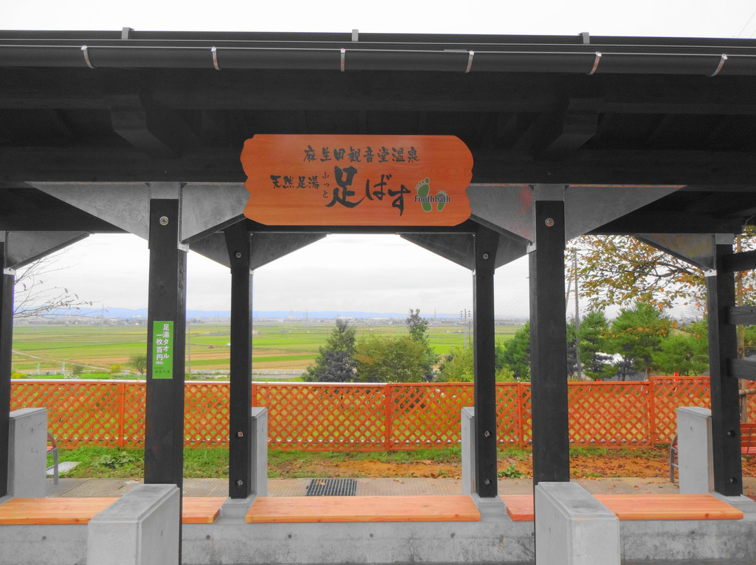 Tennen Hot Spring Asounoyu-长冈市必去景点