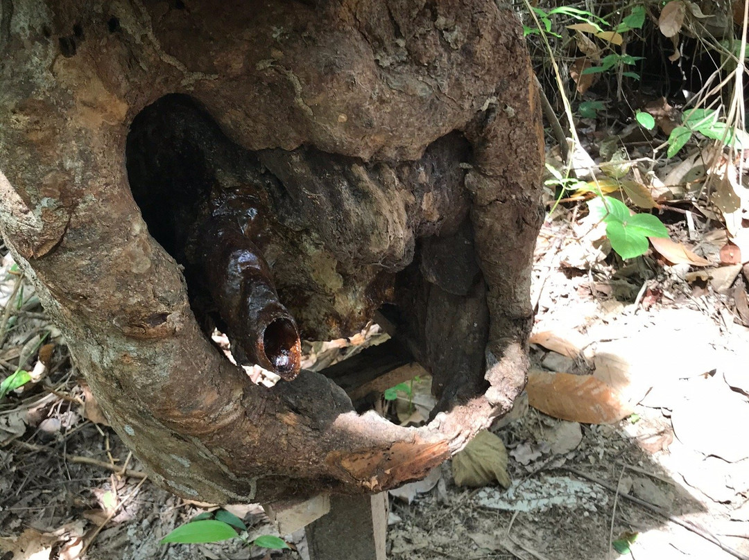 Gombizau Honey Bee Farm-古达必去景点