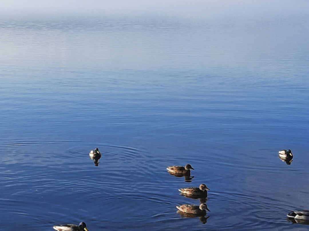 Ternopil Pond-Ternopil必去景点