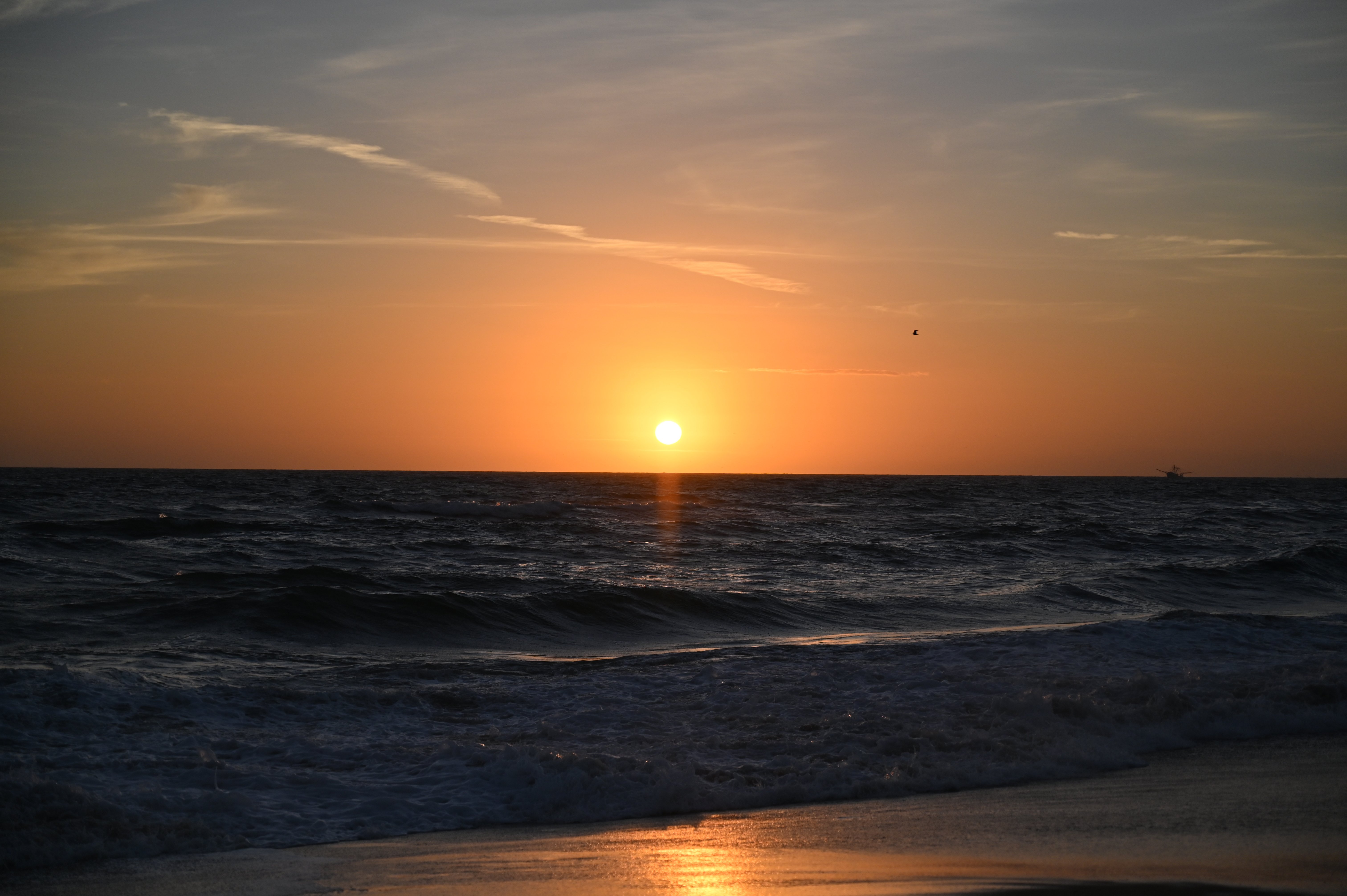 Days Inn by Wyndham Kill Devil Hills Oceanfront - Wilbur-酒店景观