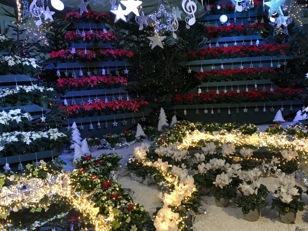 Blumengärten Hirschstetten-维也纳必去景点