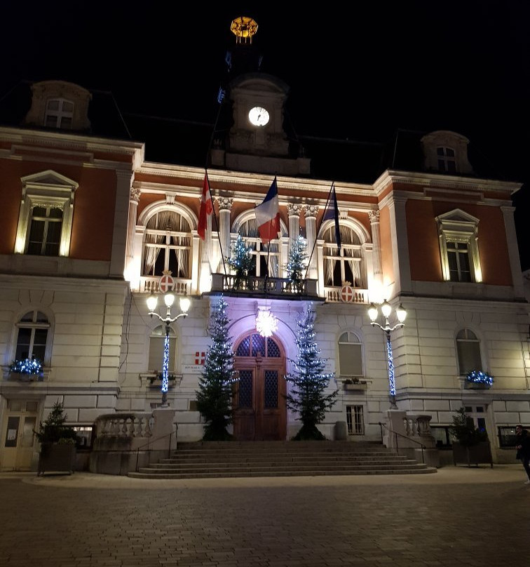 Hotel de Ville景点图片