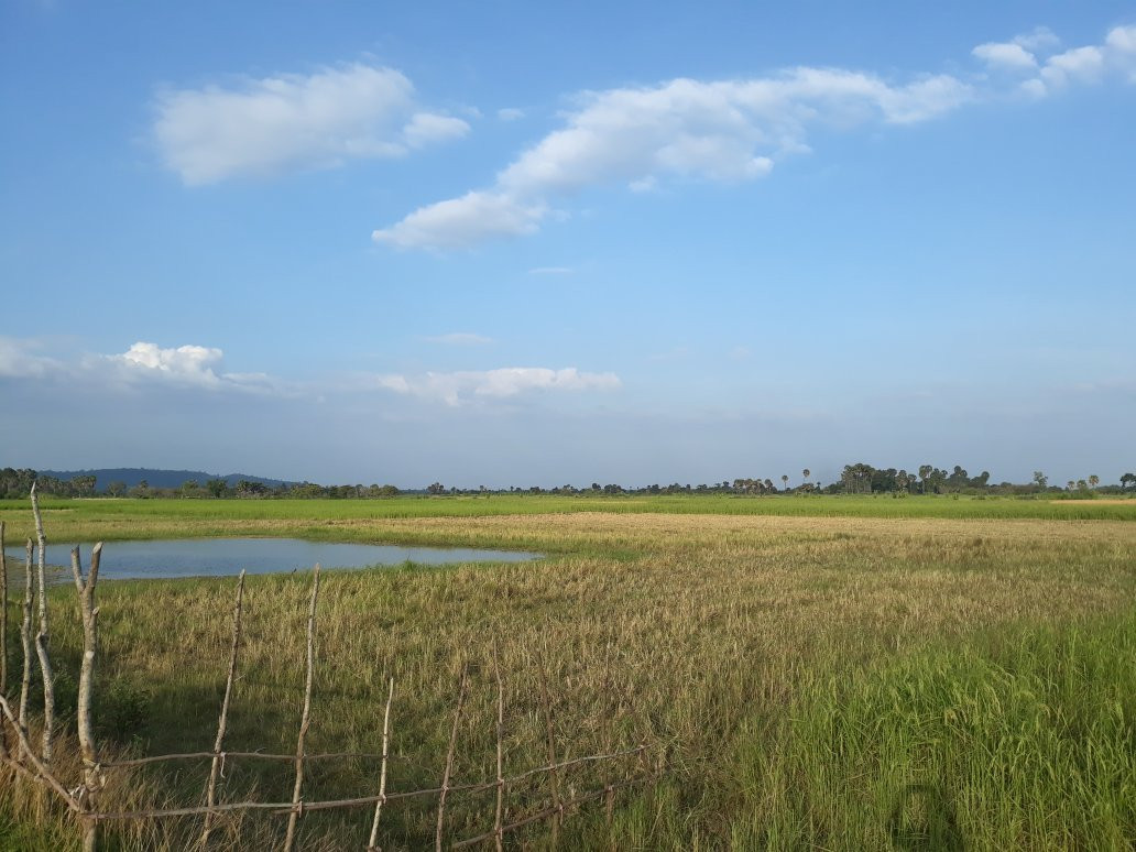 Tuol Vihea旅游攻略图片