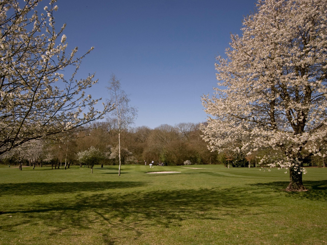 Alresford Golf Club景点图片