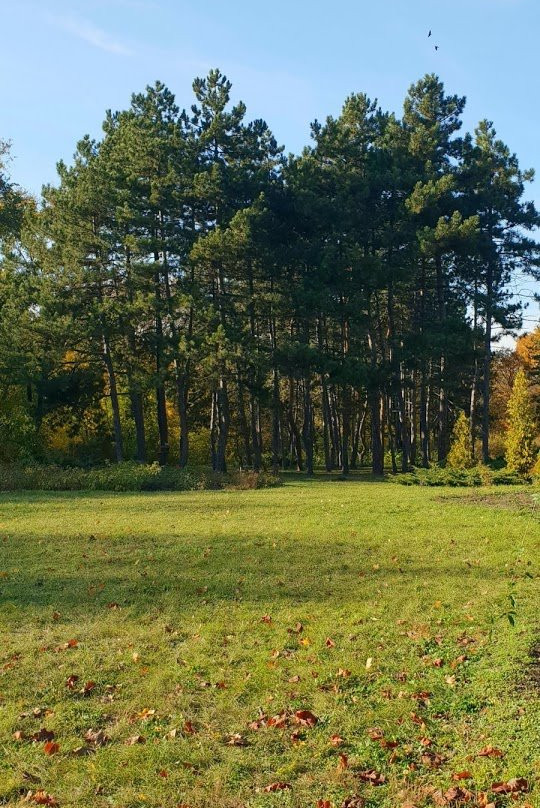 Botanical Garden of Dnipro National University-第聂伯罗必去景点