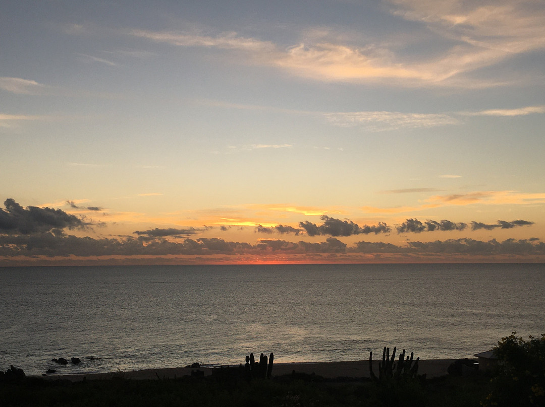 La Valise Los Cabos主图