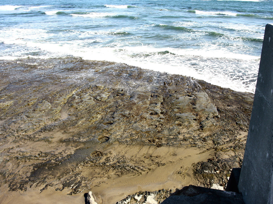 Usuiso Beach-盘城市必去景点