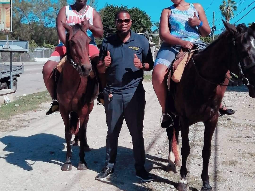 Mike's Tours & Transportation-蒙特戈贝必去景点