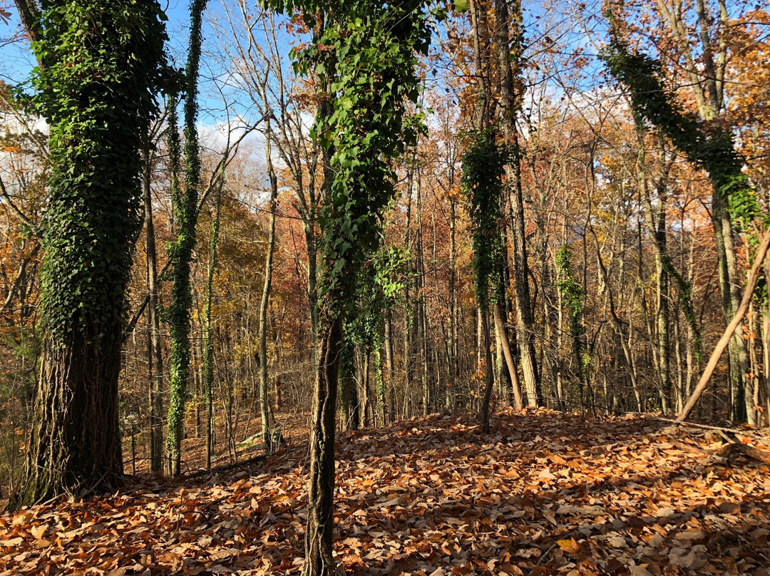 Reflection Riding Arboretum & Nature Center-查塔努加必去景点