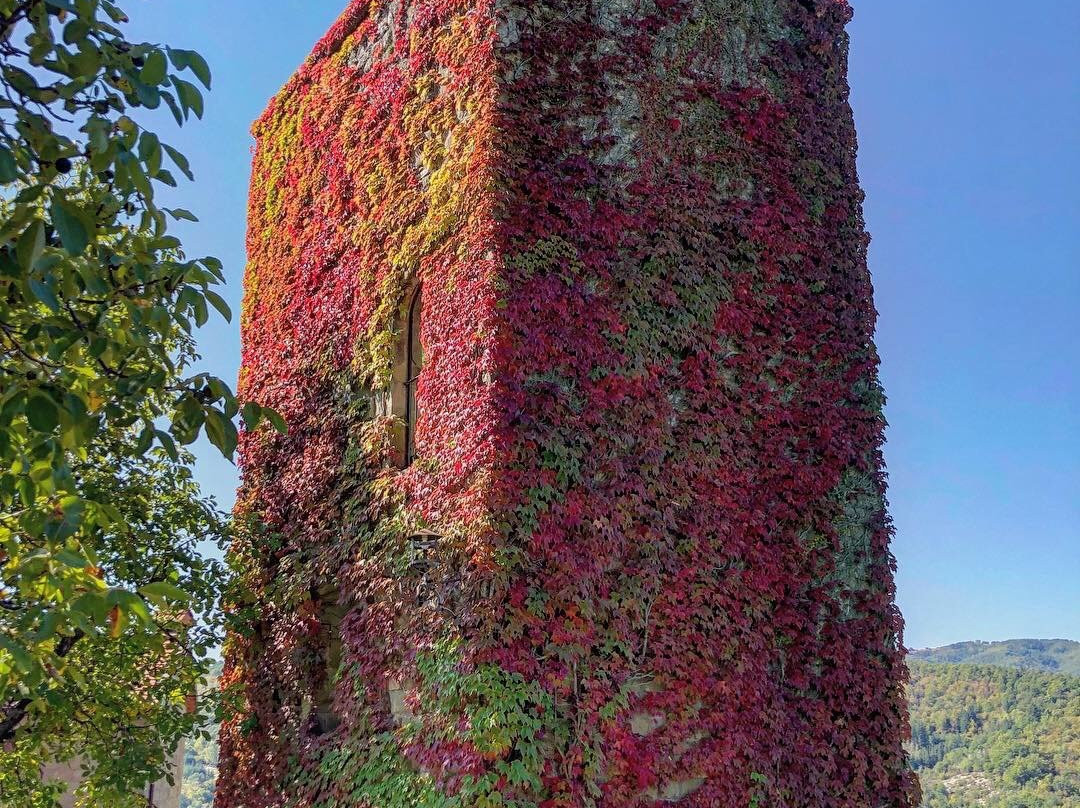 Castello di Porciano景点图片