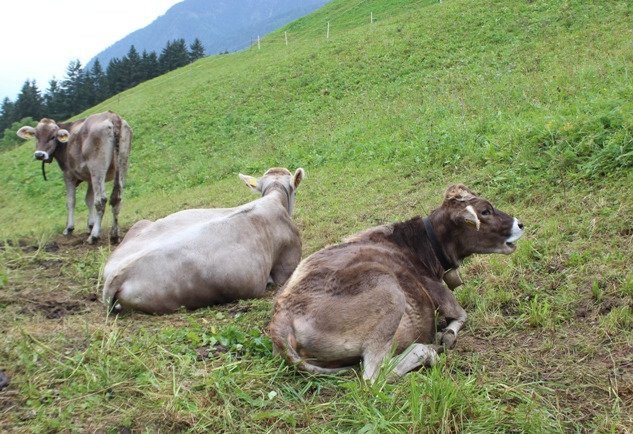 Cascata Klammbach-Rasun Anterselva必去景点