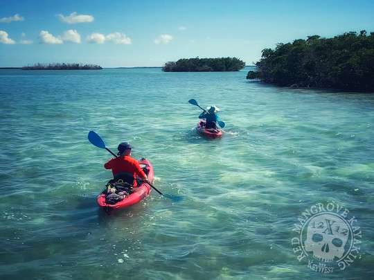 Red Mangrove Kayaking-基韦斯特必去景点