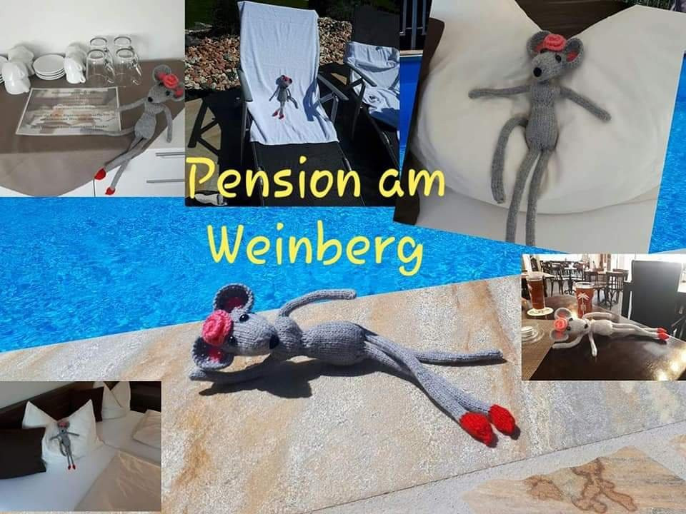 Pension am Weinberg主图