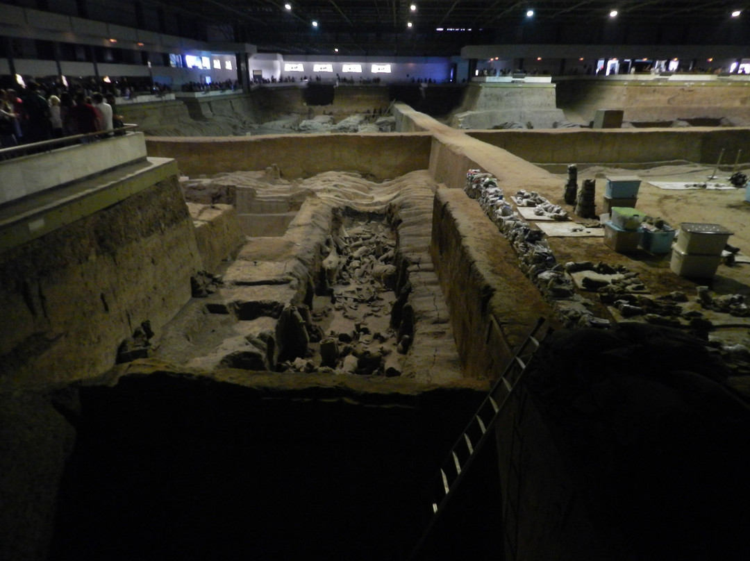 Terracotta Warrior Tours-西安市必去景点