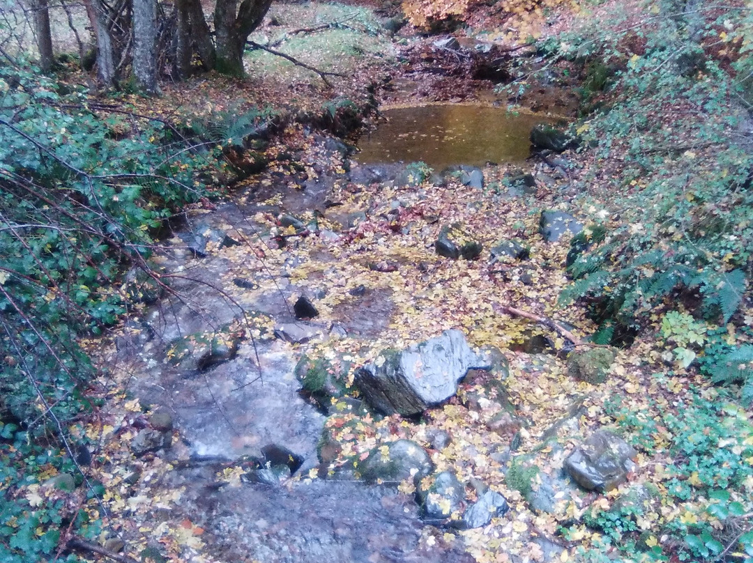 Sendero de Valvanera景点图片