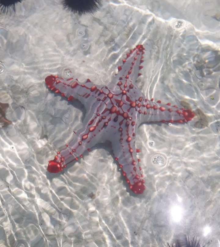 Paje Beach-帕杰必去景点