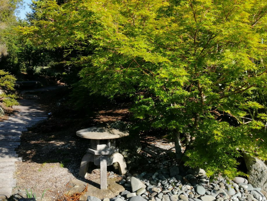 Miyazu Japanese Garden景点图片
