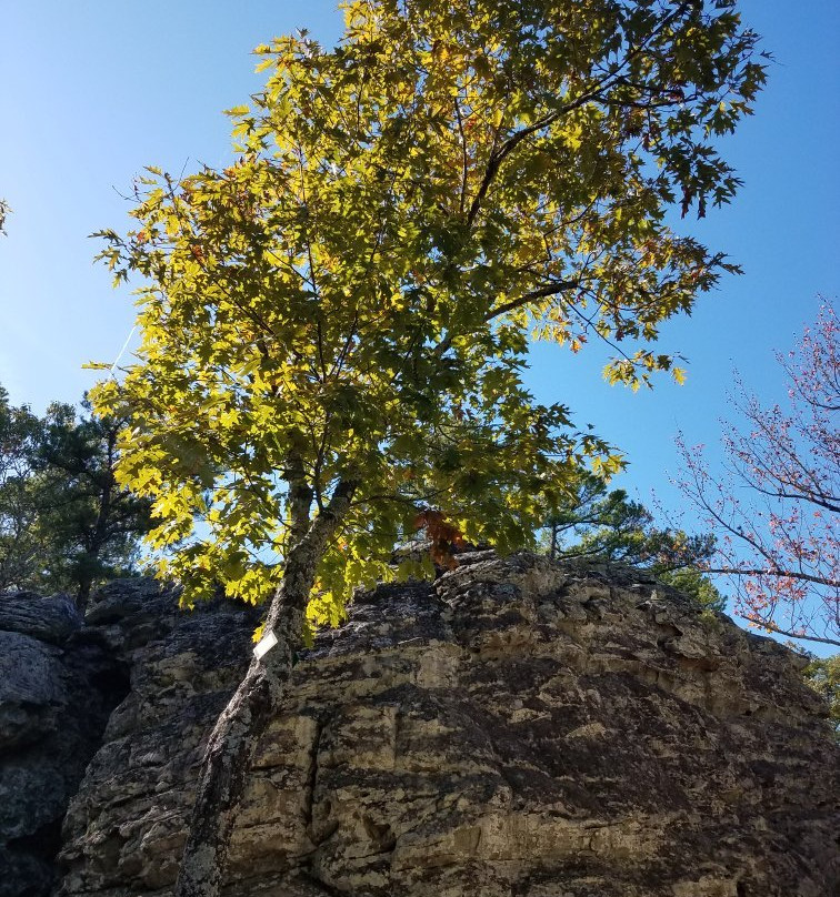 Bear Cave Trail-Morrilton必去景点
