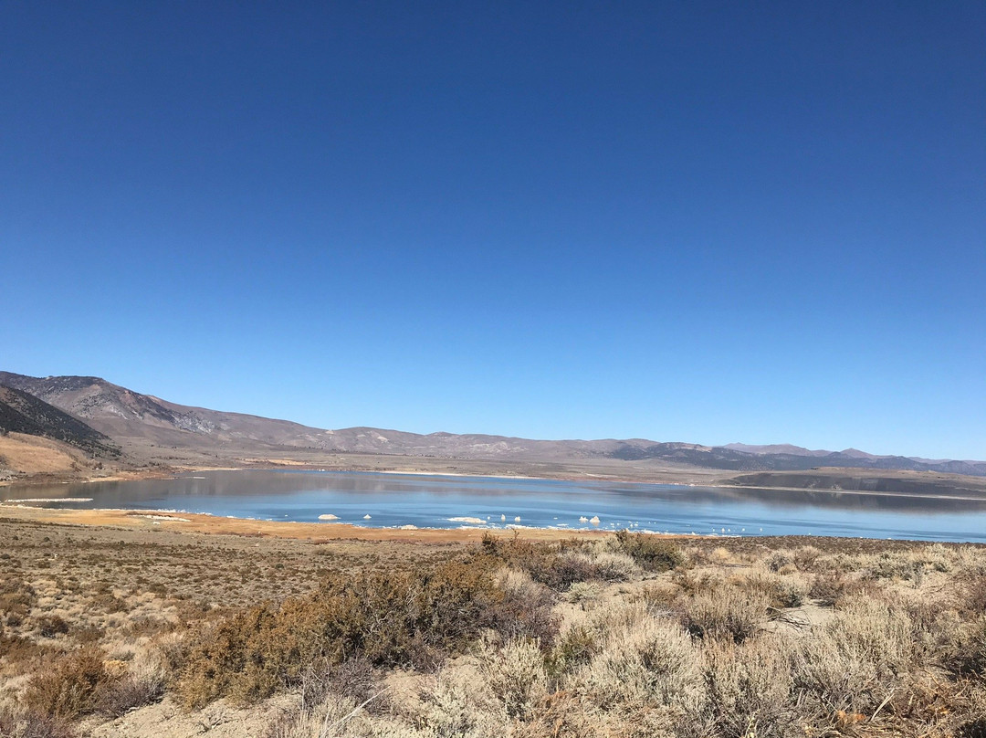 Mono Basin Scenic Area Visitor Center-利韦宁必去景点